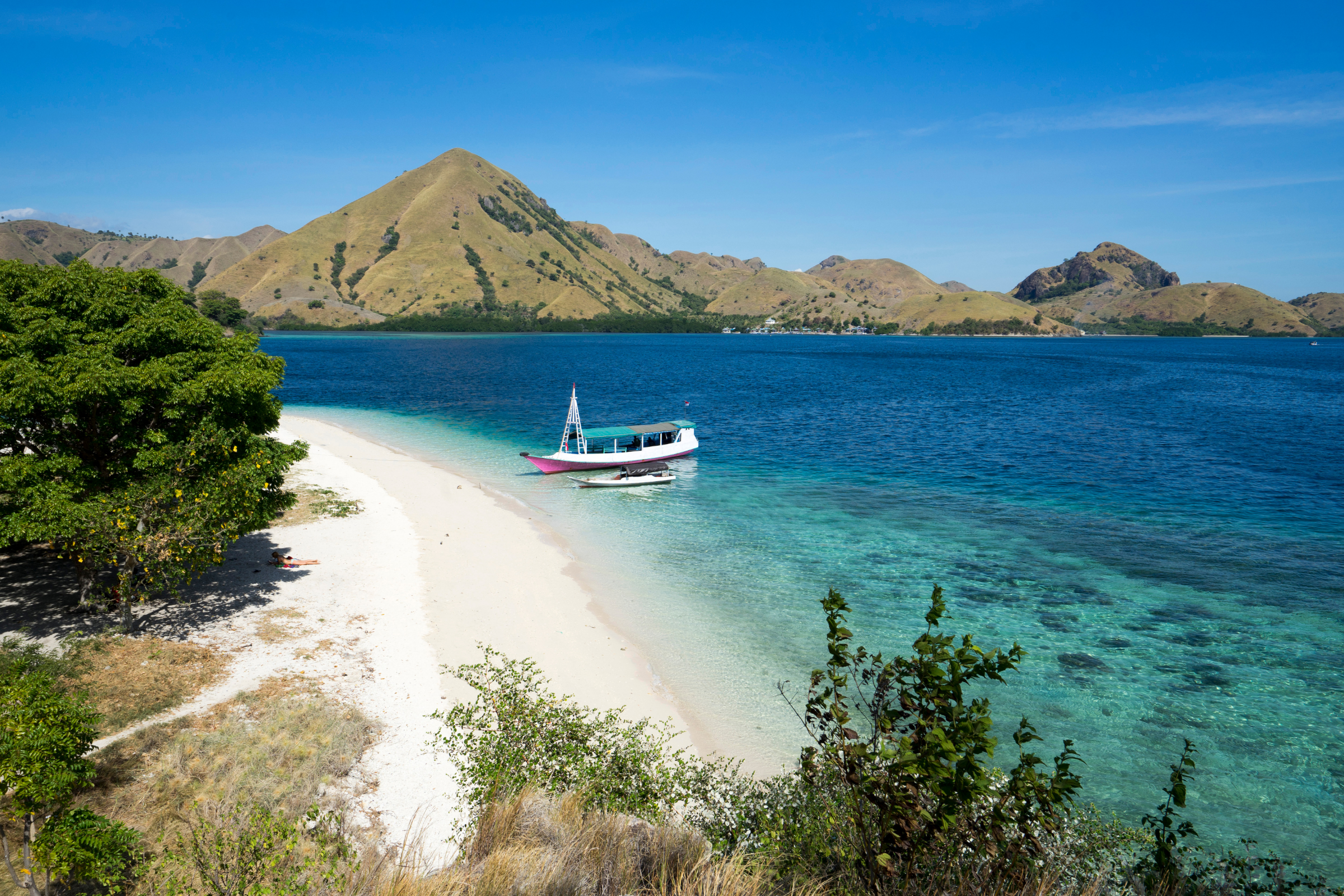 16 flores island.webp